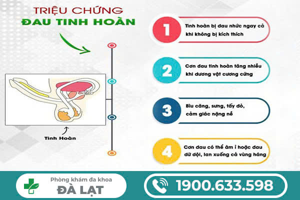 Hình ảnh minh họa